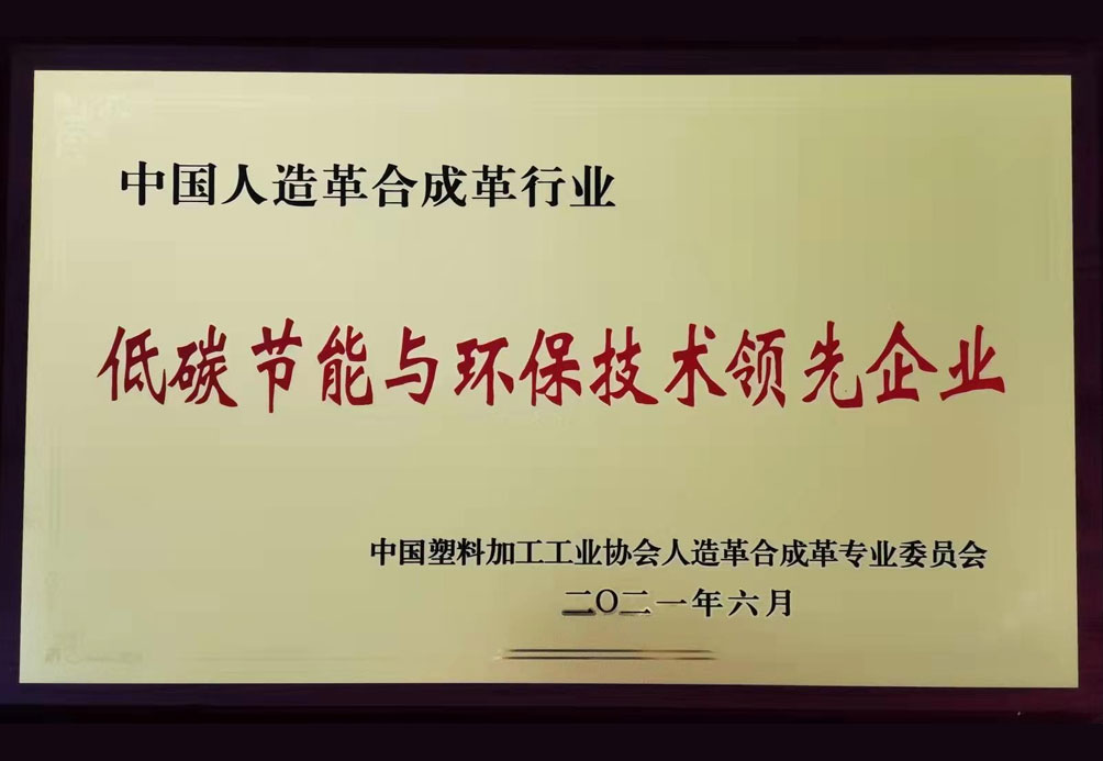 低碳节能与环保技术领先企业
